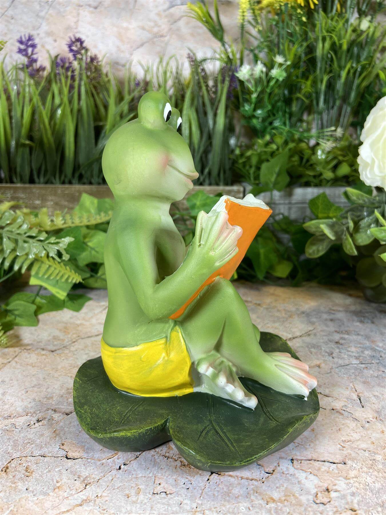 Hilarious Resin Frog Reading Book 15.5 cm Tall Garden Ornament Patio Decor-Osiris Craftworks