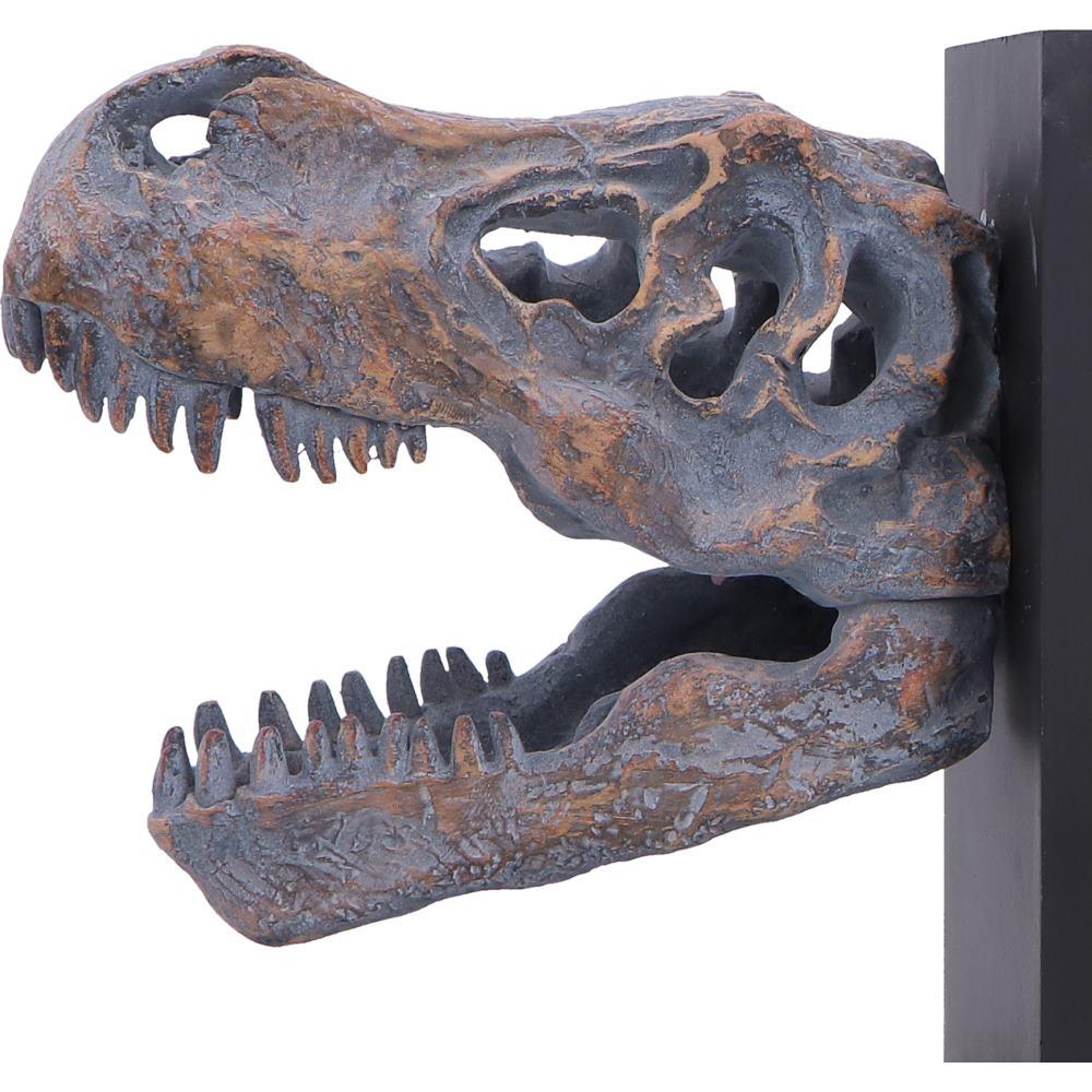Tyrannosaurus Rex Skull Bookends Dinosaur Skeleton Display Jurassic Decor