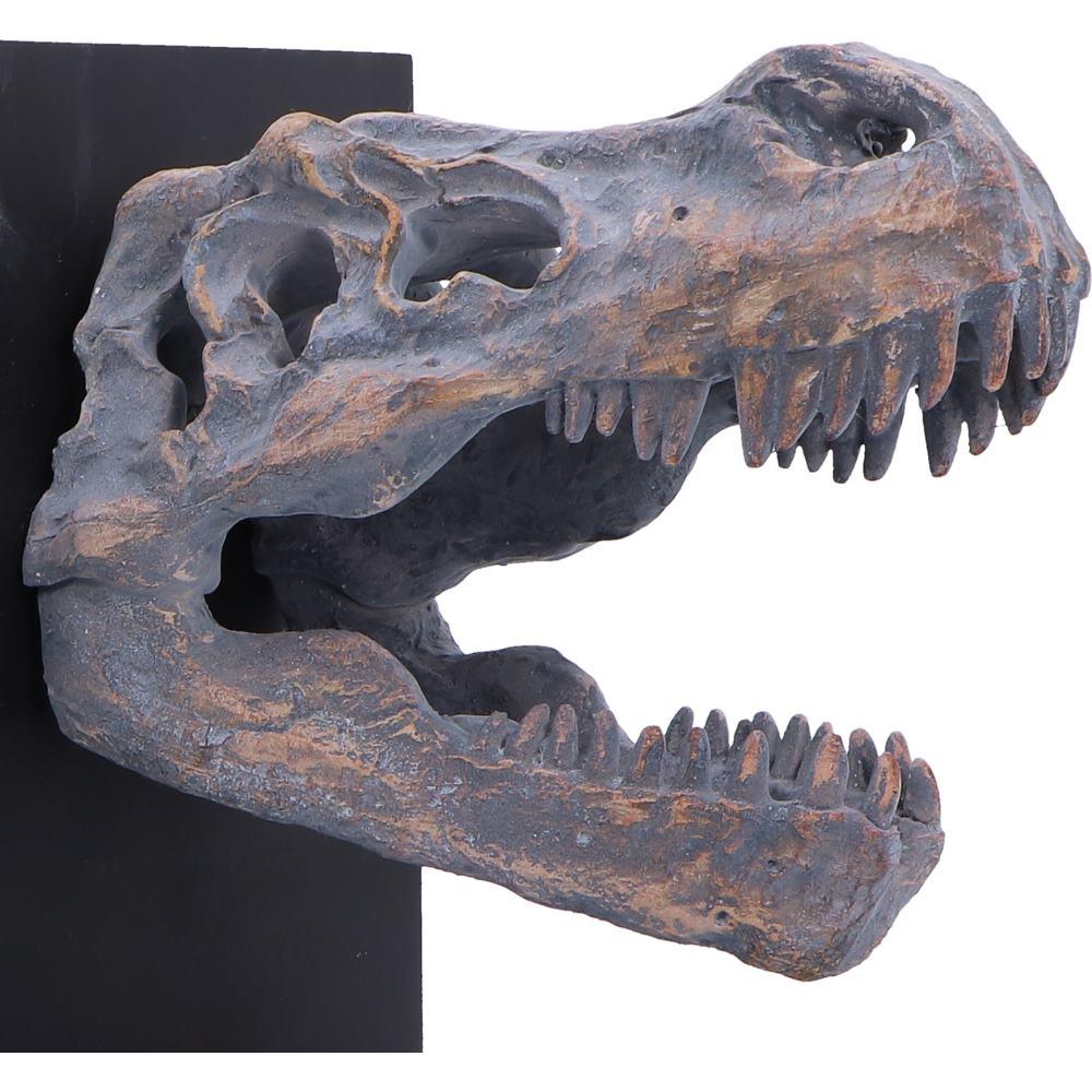 Tyrannosaurus Rex Skull Bookends Dinosaur Skeleton Display Jurassic Decor