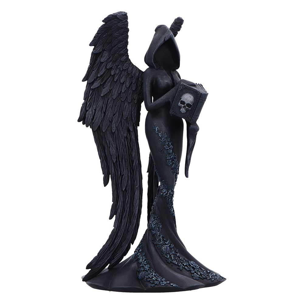 Femme Fatale Scholar Angel Statue Gothic Hooded Winged Book Skull Fantasy