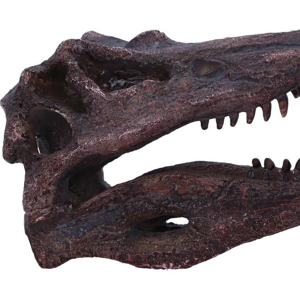Realistic Spinosaurus Dinosaur Skull Model Replica Skeleton Sculpture Home Gift