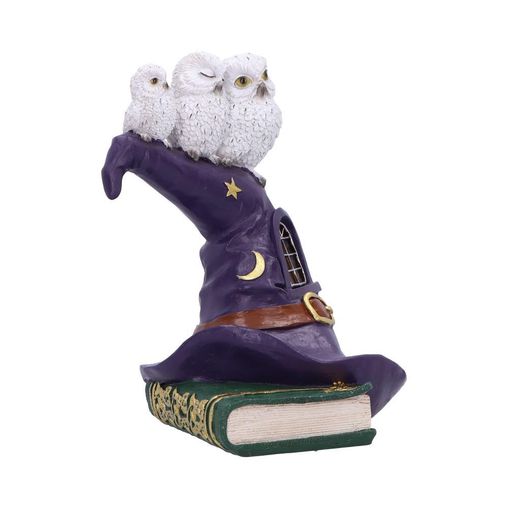 Magical Owl Witch Hat LED Ornament Wiccan Altar Figurine Spooky Halloween