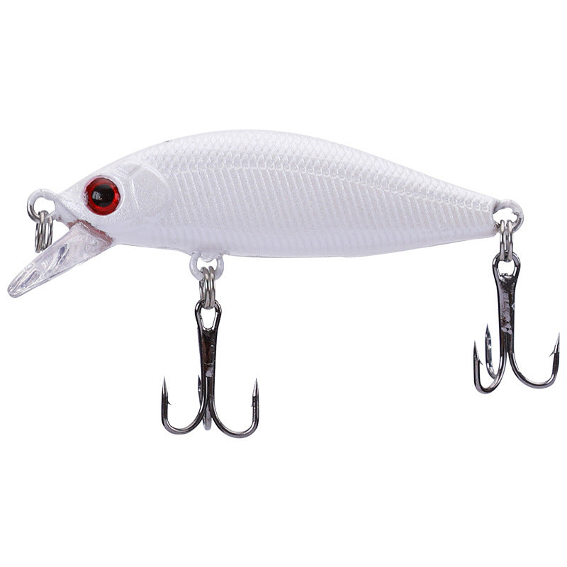 cockroach fishing lure Cockroach Bass Bait for Freshwater Fishing