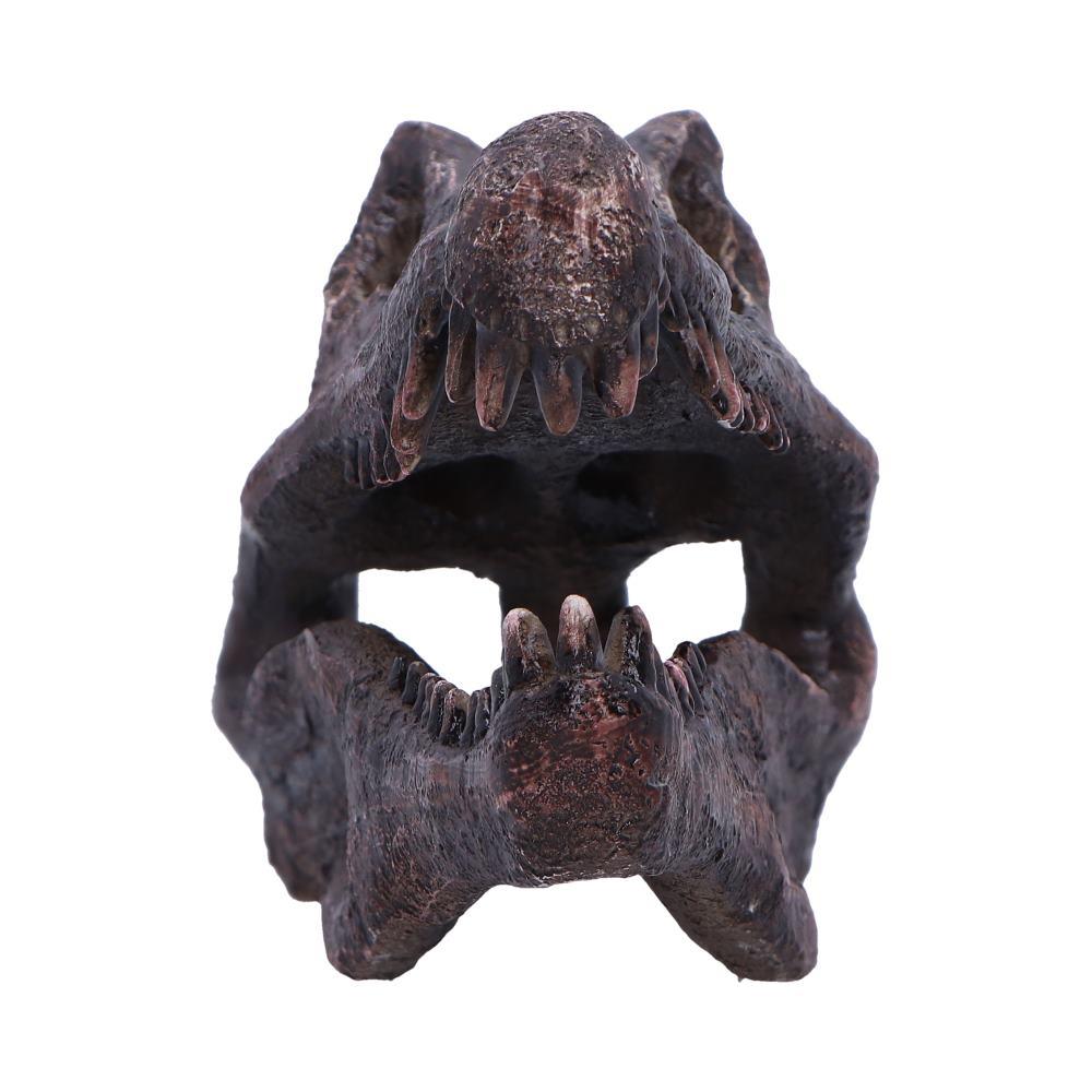 Realistic Spinosaurus Dinosaur Skull Model Replica Skeleton Sculpture Home Gift