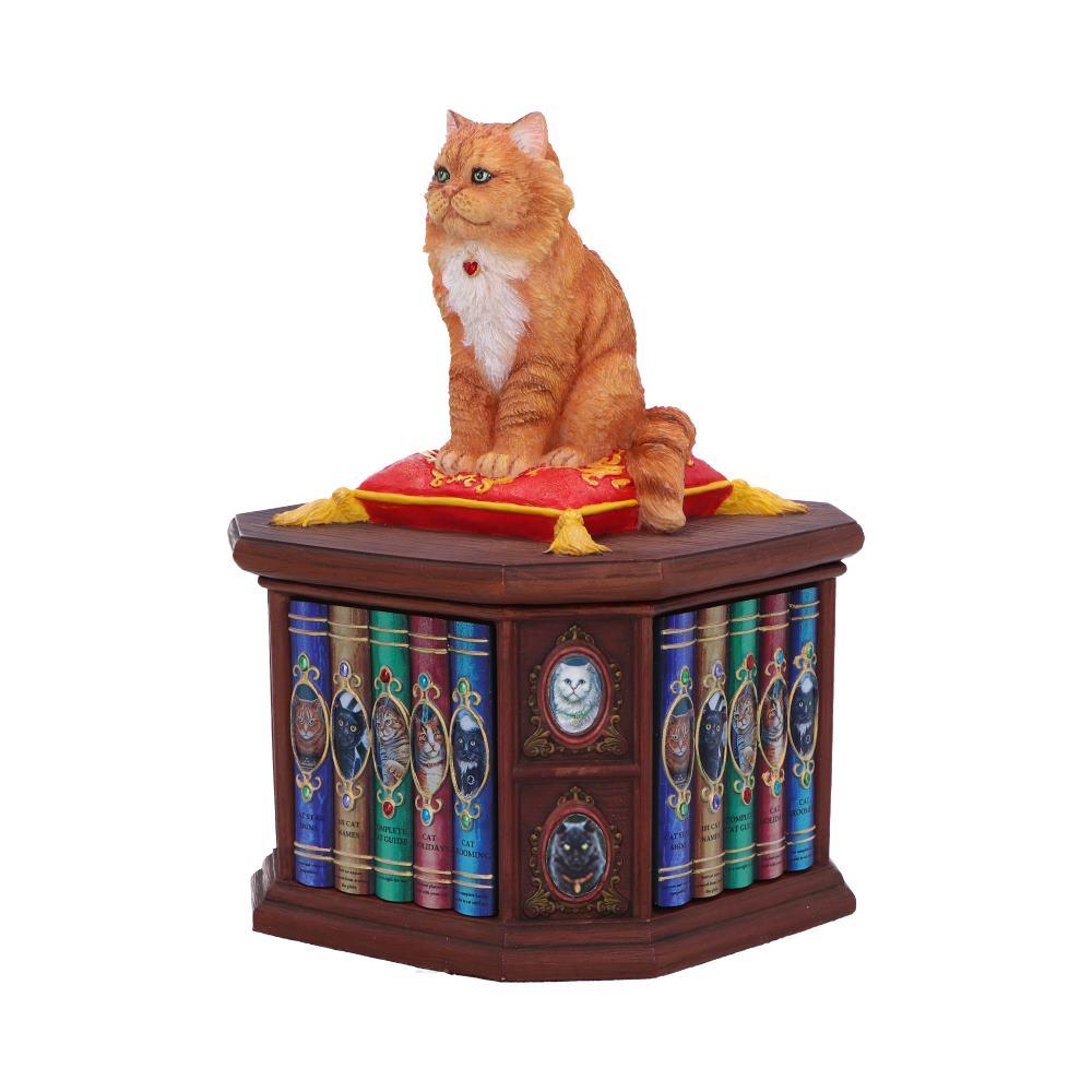 Mad About Cats Storage Box Bookcase Figurine Wiccan Alter Fantasy Ornament