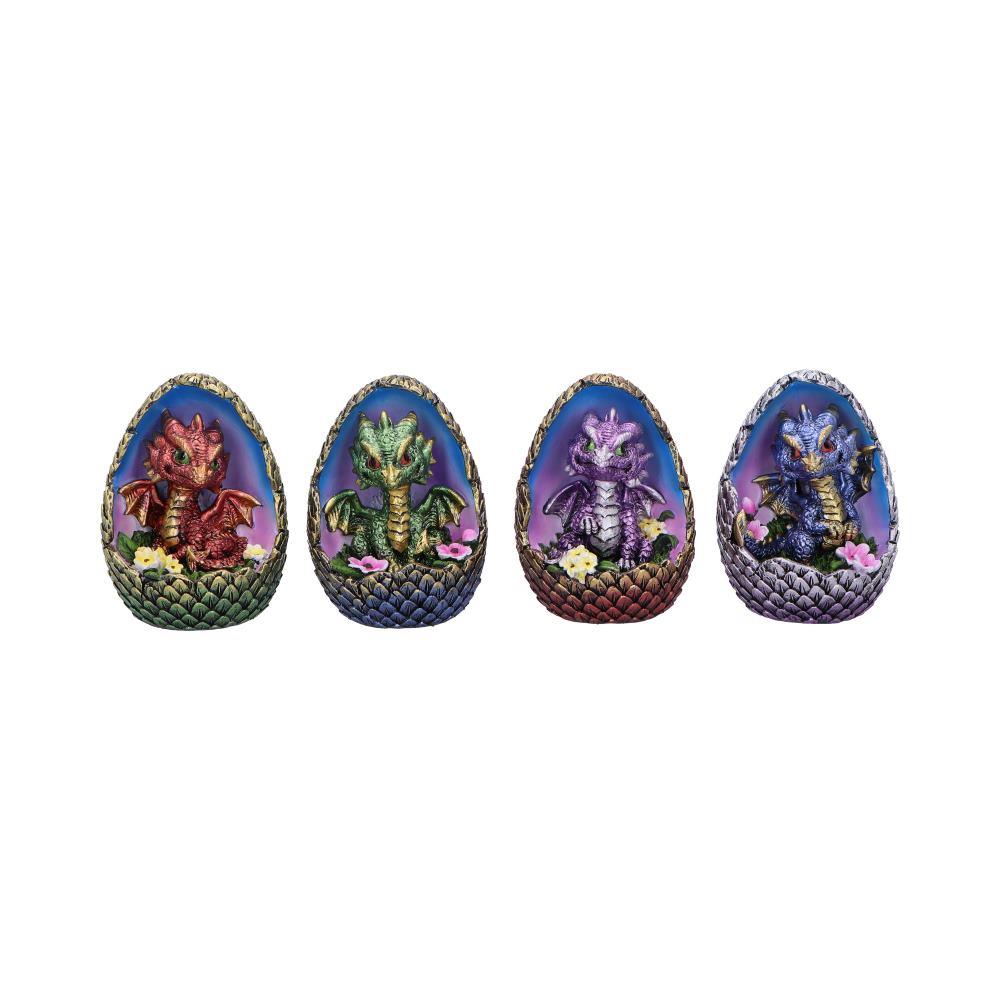 Enchanted Gothic Fantasy Dragon Egg Figurines Blooming Brood Collectible Statue