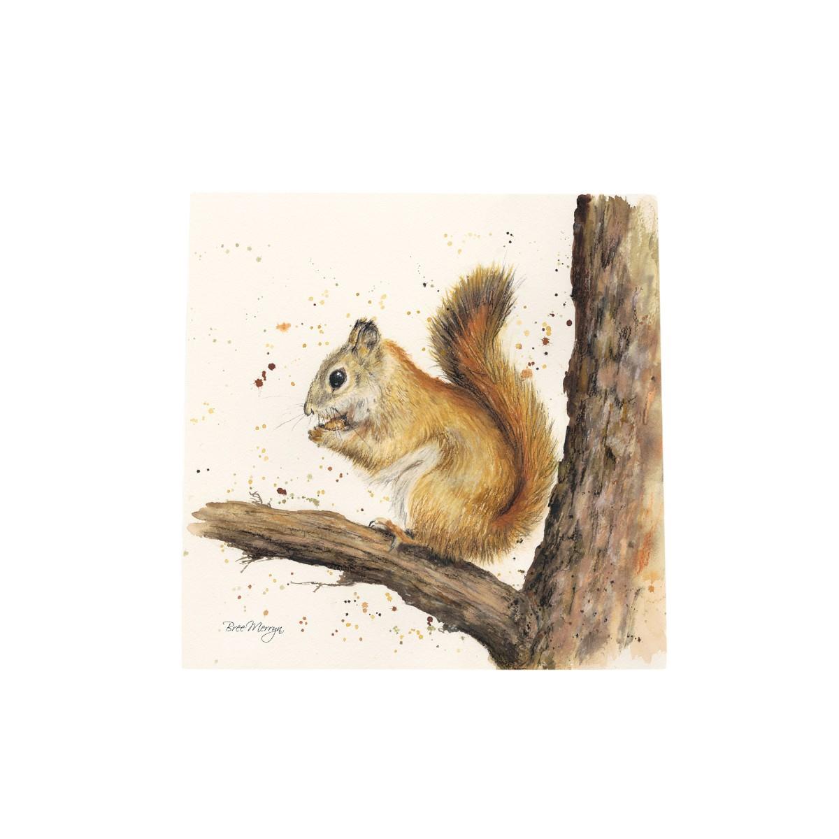 PIP & SQUEAK Red Squirrels Ceramic Art Tile by Bree Merryn - 20x20cm Wall Decor