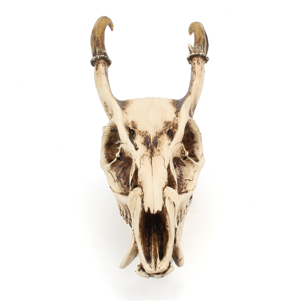Resin Goat Skull Ornament Three-dimensional Simulation Animal Ornament