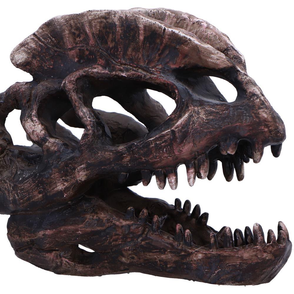 Dilophosaurus Dinosaur Skull Replica Realistic Resin Fossil Model Jurassic Fossil
