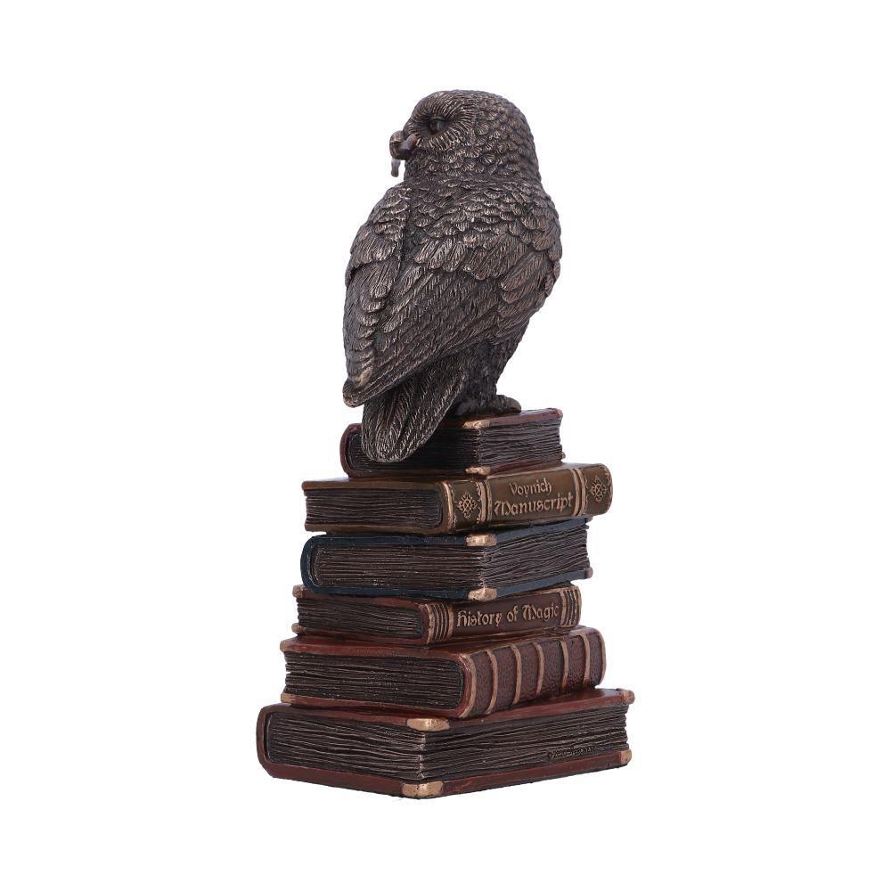 Bronze Spellcraft Witches Familiar Owl on Book Figurine