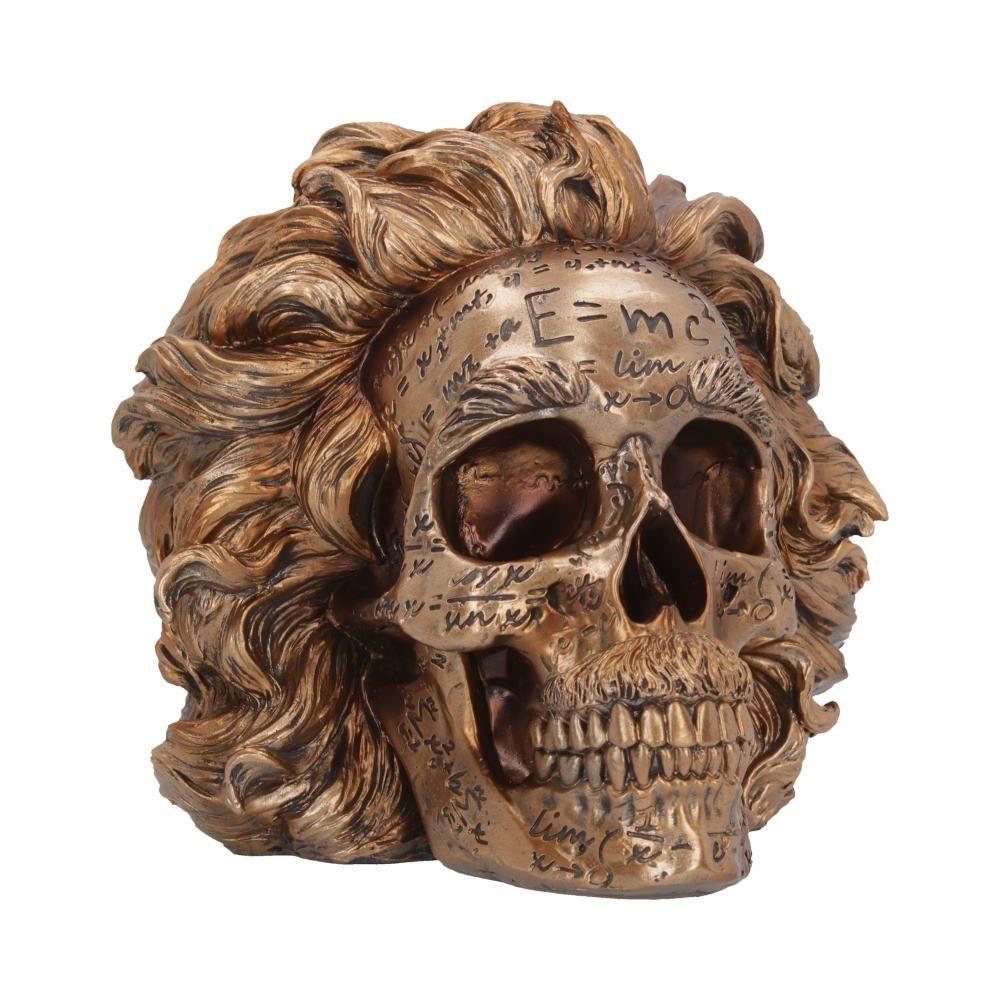Einstein Skull Sculpture - Theory of Relativity Inspired Figurine, Mathematical Home  Decor