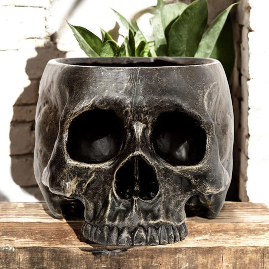 Gothic Skull Garden Planter Resin Plant Pot Dark Fantasy Lawn Patio Decor 19.5cm