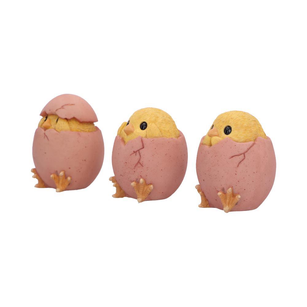 Adorable Spring Chick Set Three Wise Chickens Figurines Easter Novelty Gift Boxed