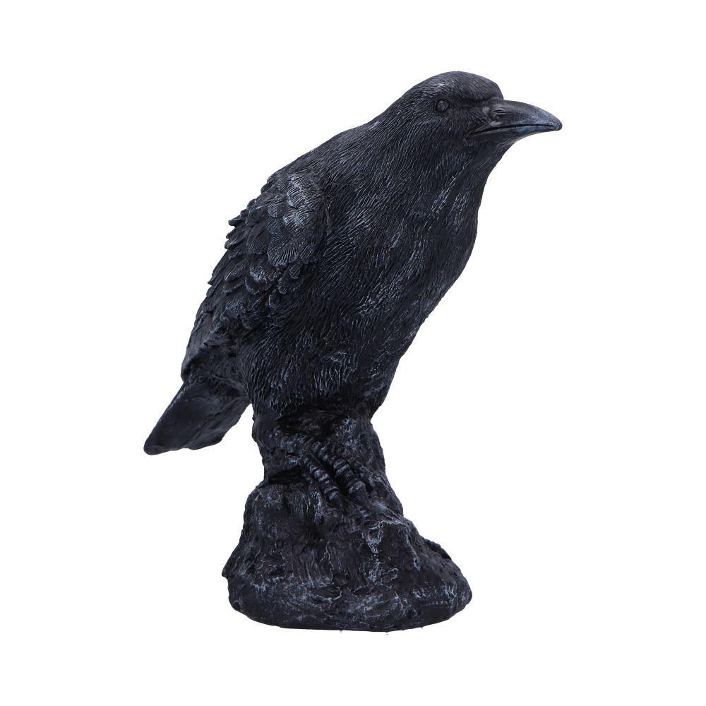 Gothic Raven Figurine Black Crow Resin Statue Dark Home Decor Altar Ornament 25cm