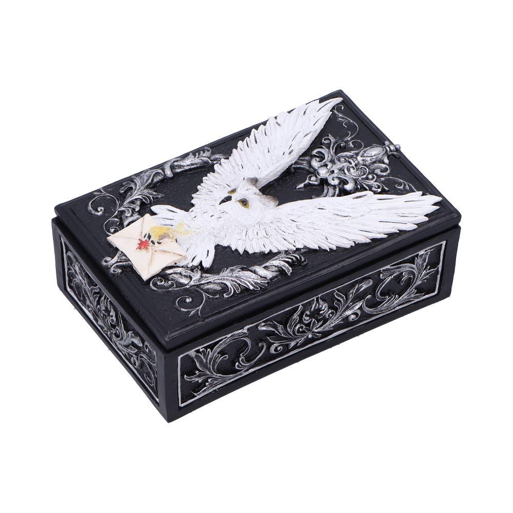 Gothic Owl Messenger Box Wiccan Witchcraft Storage Keepsake Fantasy Ornament