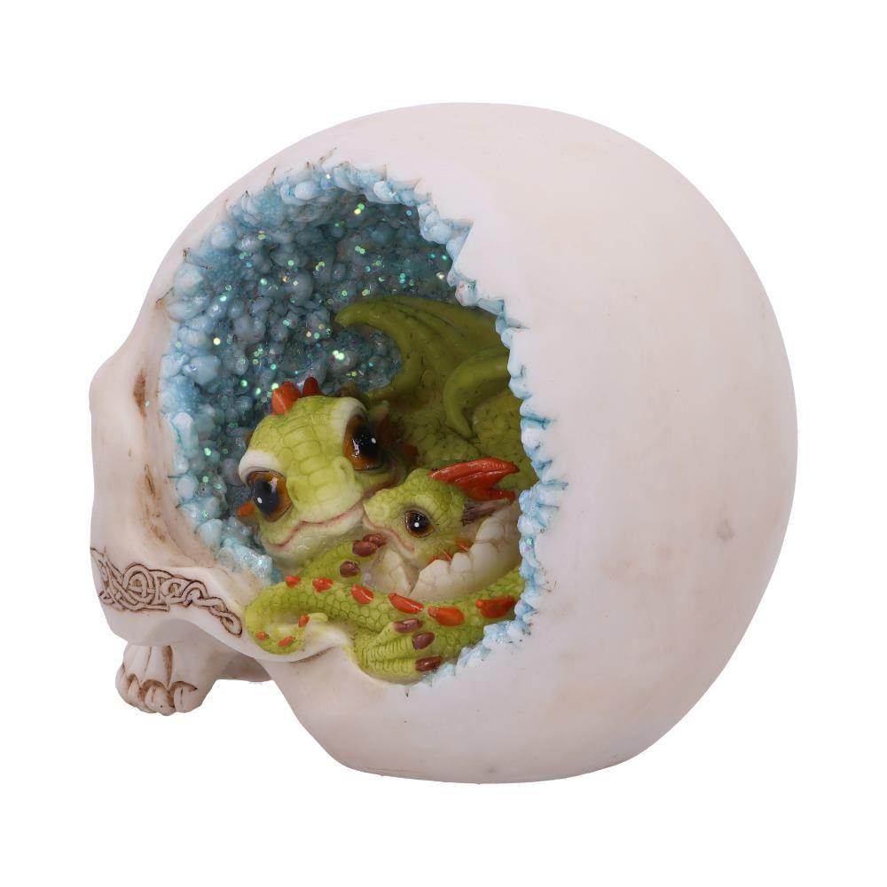 Dragon Resting in Skull Figurine 15cm - Crystal Cave Mother & Baby Dragon Ornament - Gothic Fantasy Decor