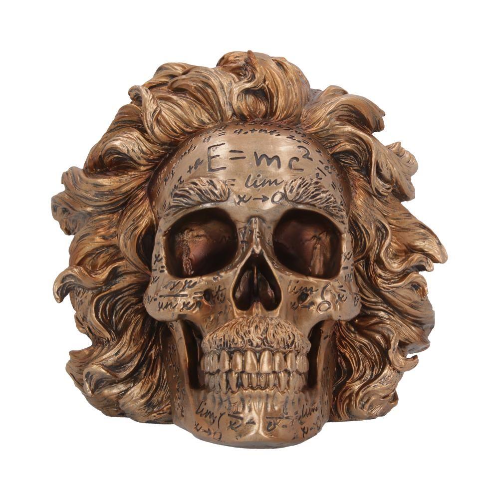 Einstein Skull Sculpture - Theory of Relativity Inspired Figurine, Mathematical Home  Decor