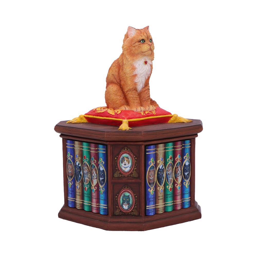 Mad About Cats Storage Box Bookcase Figurine Wiccan Alter Fantasy Ornament