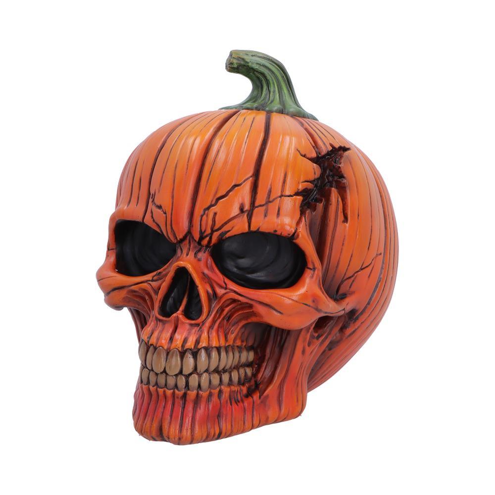 Pumpkin Head Skull Creepy Gothic Halloween Figurine Macabre Horror Decoration
