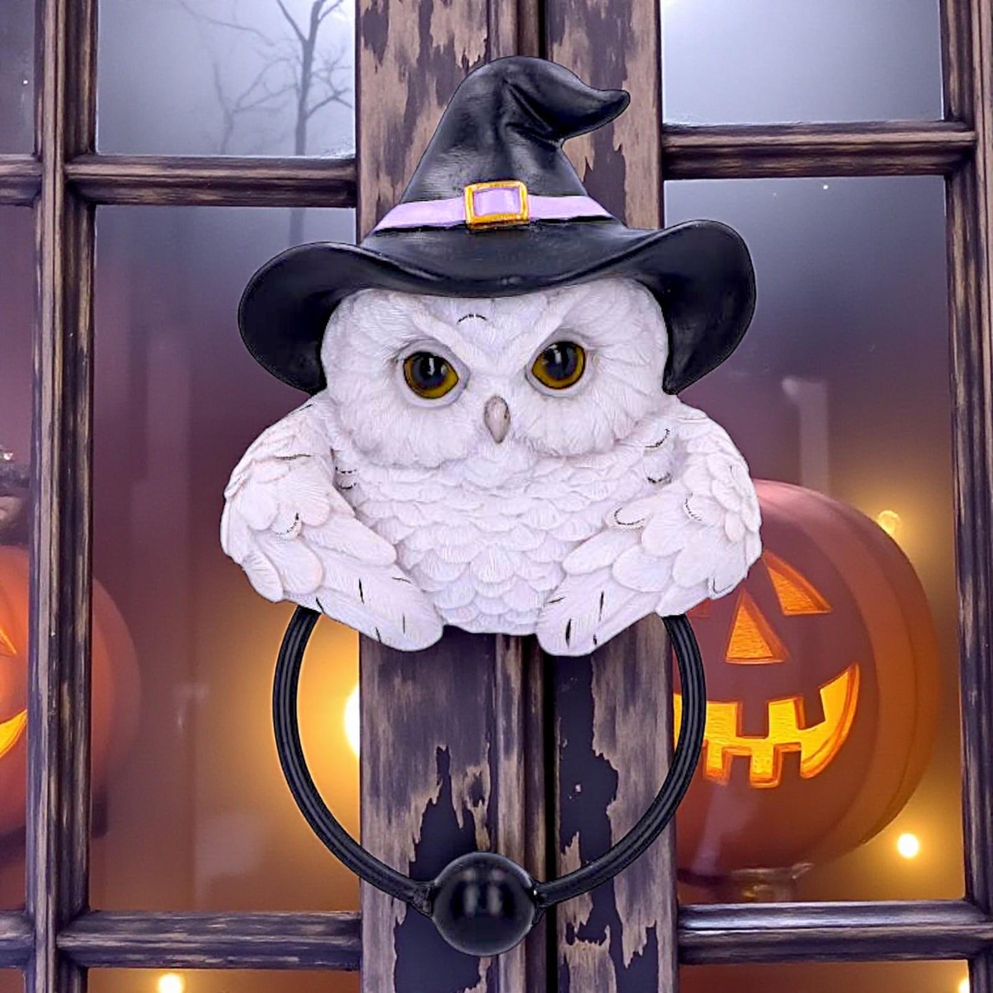 Enchanted Snowy Owl Door Knocker Witchcraft Pagan  Mystical Home Ornament