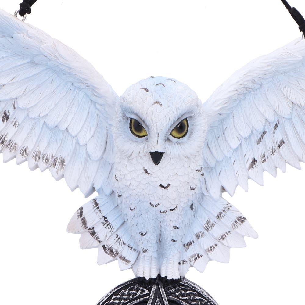 Mystical Snowy Owl Hanging Pagan Pentacle Talisman Wiccan Witchcraft Wall Art