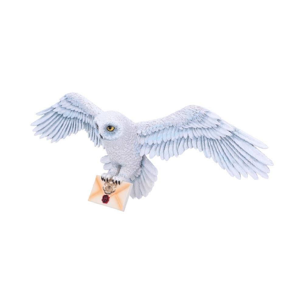 Harry Potter Hedwig Wall Plaque 45cm - Officially Licensed Wizarding World Collectible