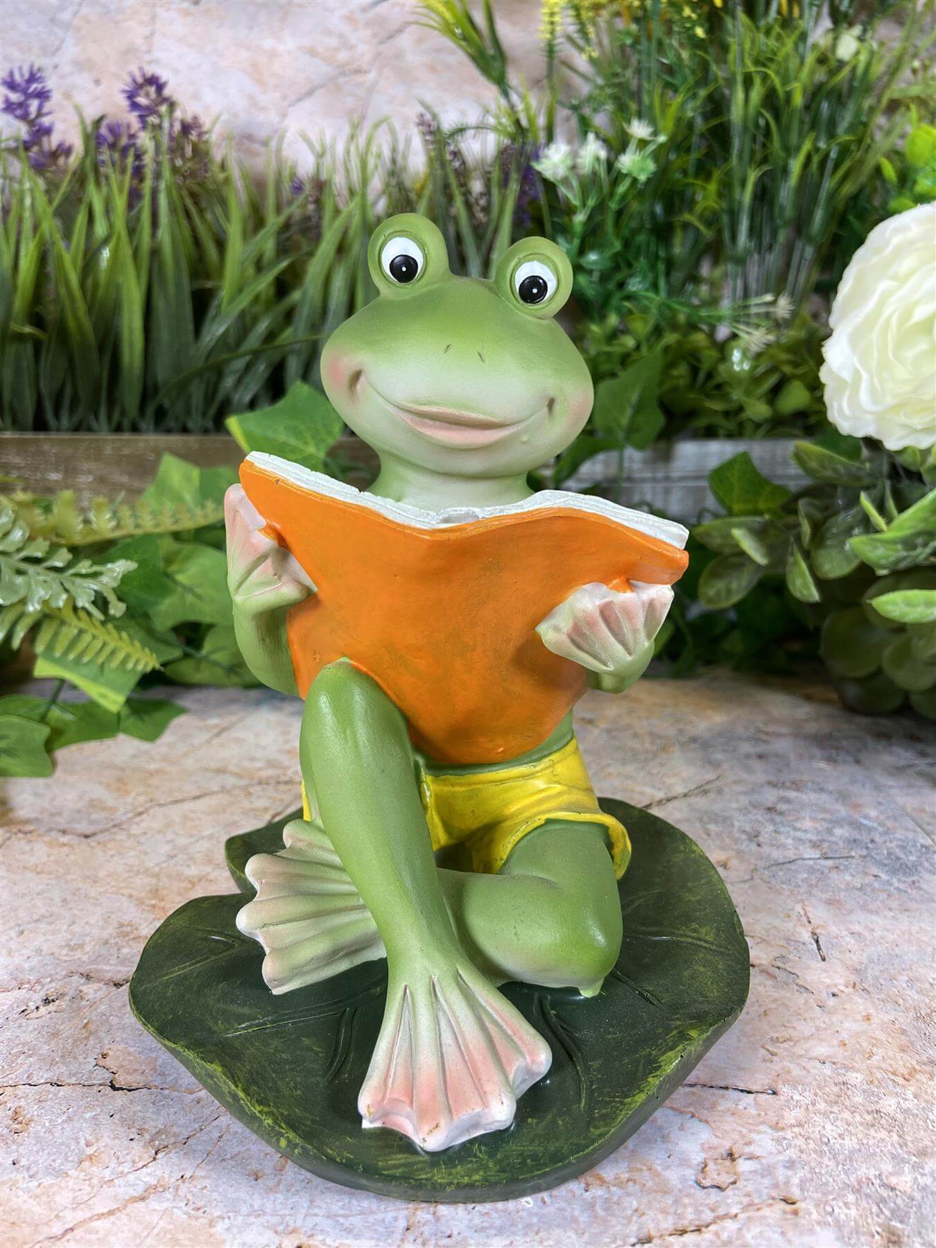 Hilarious Resin Frog Reading Book 15.5 cm Tall Garden Ornament Patio Decor-Osiris Craftworks