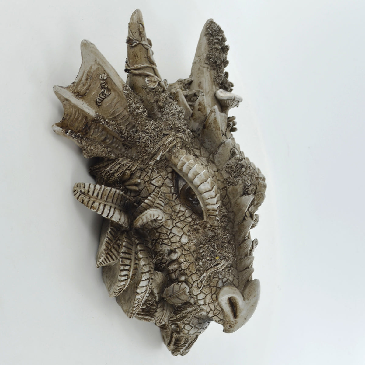 Mystical Dragon Woodland Wall Plaque - Resin Sculpture Fantasy Decor 17cm x 22cm, Indoor & Outdoor Use, Unique Gothic Art Piece