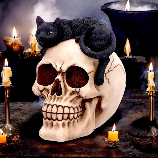 Forever Friend Black Cat and Skull Figurine – 14.5cm Gothic Decorative Ornament