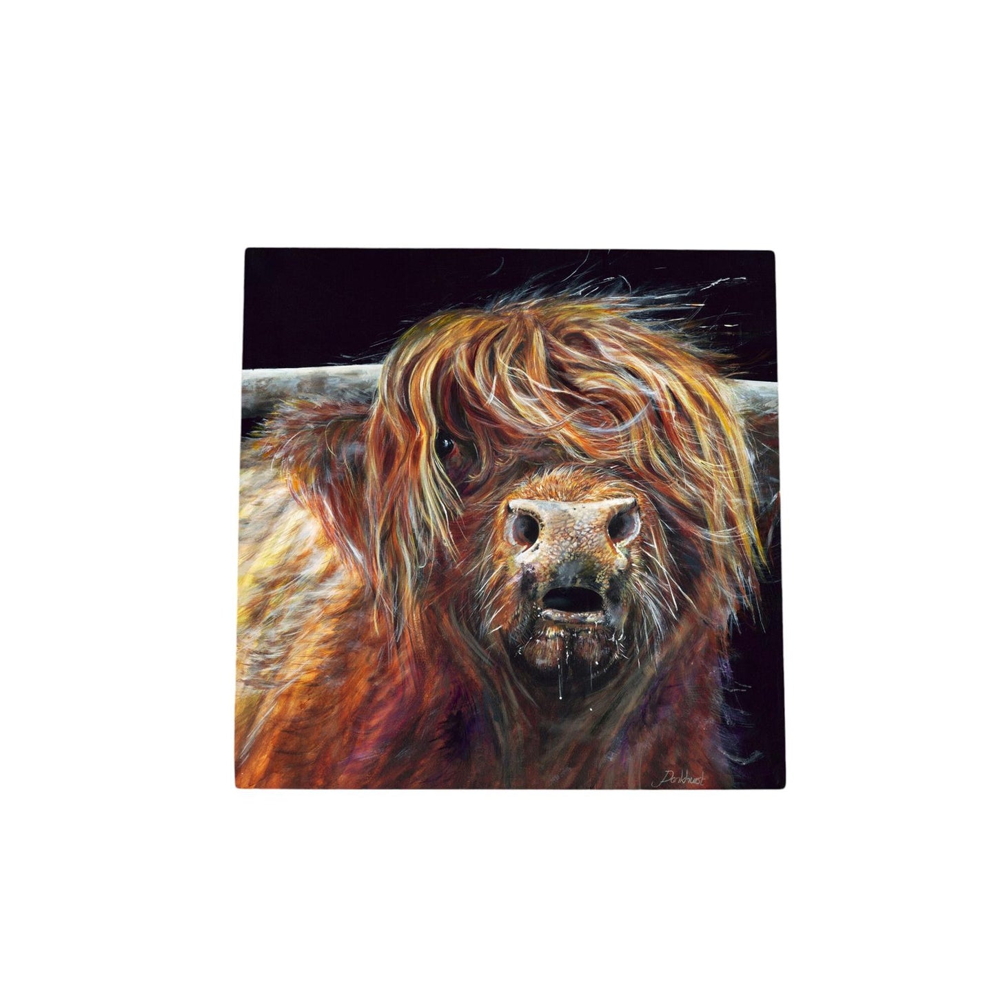 COLIN HIGHLAND COW Ceramic Art Tile by Pankhurst Gallery - 20x20 cm - Ready to Hang on Wall