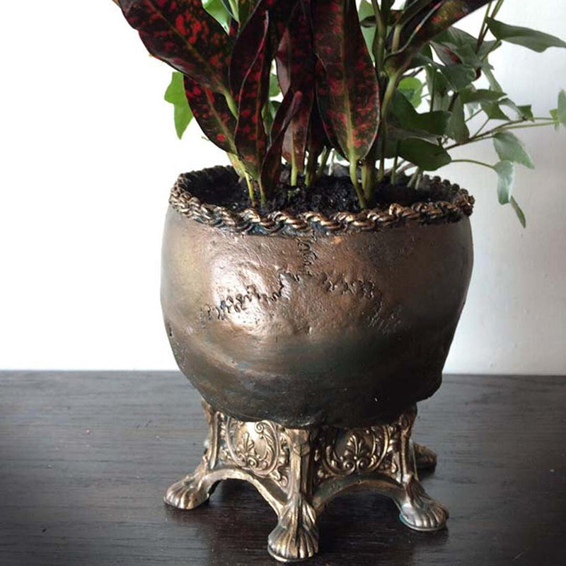 Home Skull Flower Pot Decoration Resin Crafts
