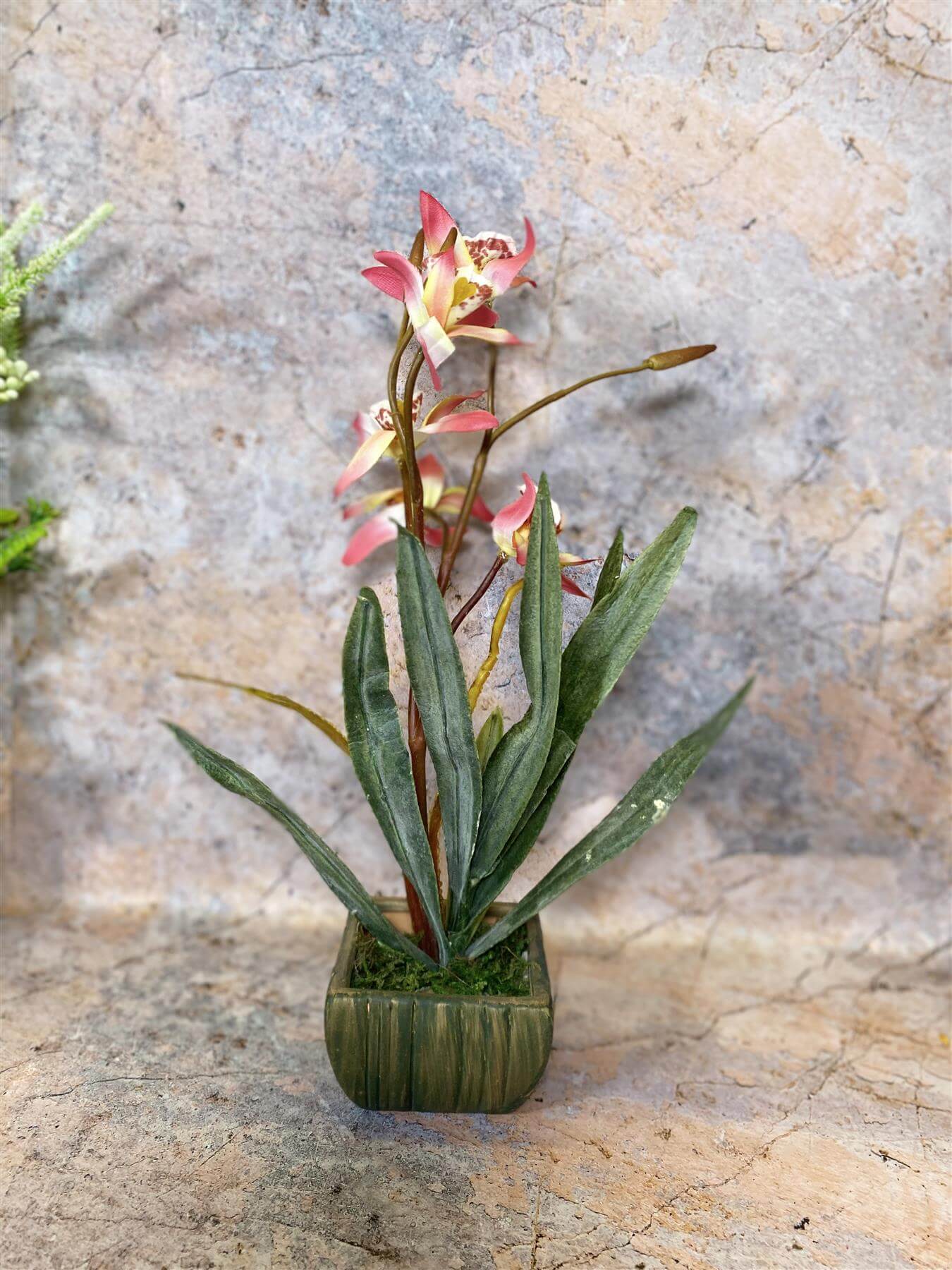 Elegant Artificial Orchids Display in 20 cm Tall Plant Pot - Lifelike Home Decor