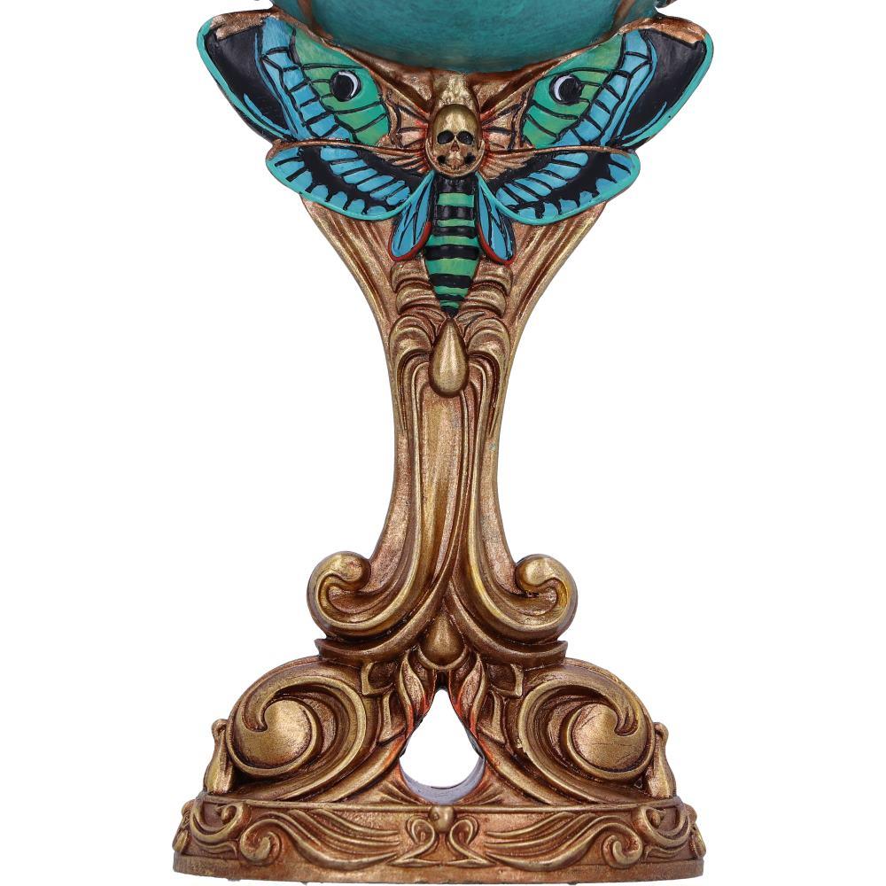 All Seeing Eye Palmistry Chalice Fortune Teller Gothic Altar Goblet Occult  Decor