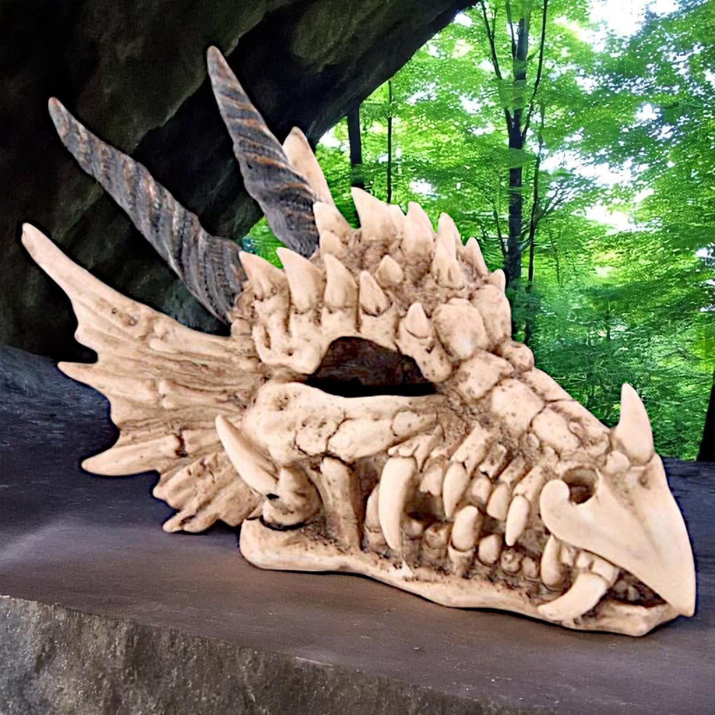 Fantasy Dragon Skull Money Box | Gothic Resin Coin Bank 19cm | Mythical Beast Home Decor Gift
