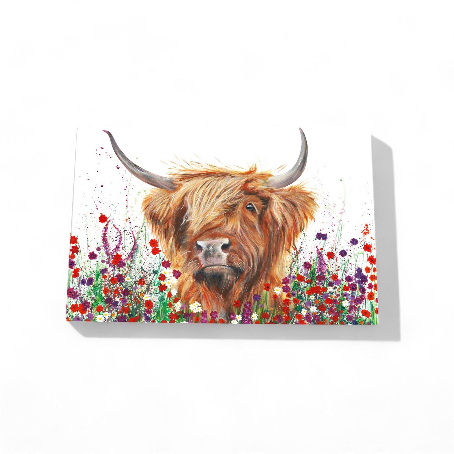 Jimmy Highland Cow Ceramic Art Tile by Pankhurst Gallery 30x20cm Wall Decor – Ready to Hang in Gift Box