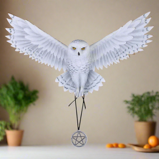 Awaken your Magic Anne Stokes Wall Decor 45cm