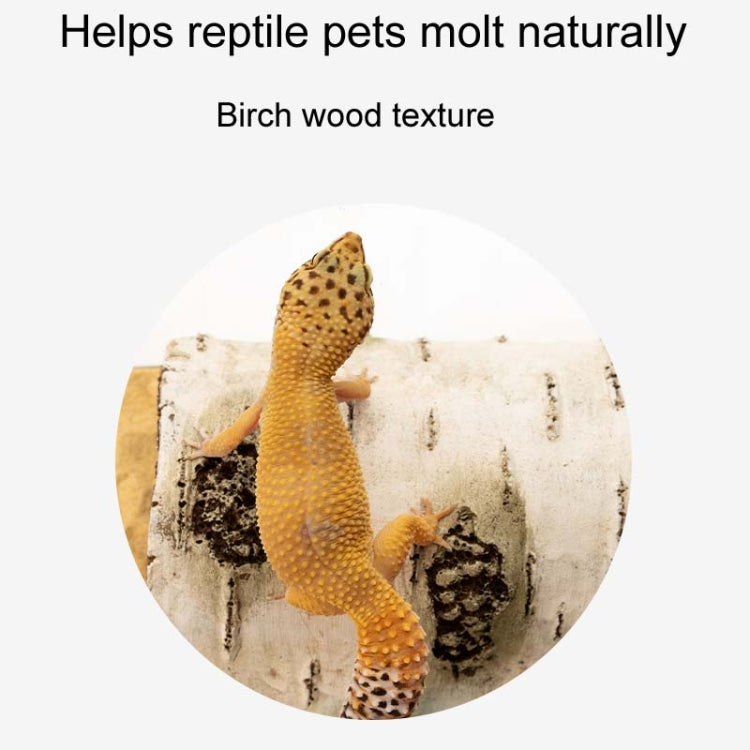 Aquarium Birch Shape Hiding House Reptiles Lizards Aquascape, S, M, L