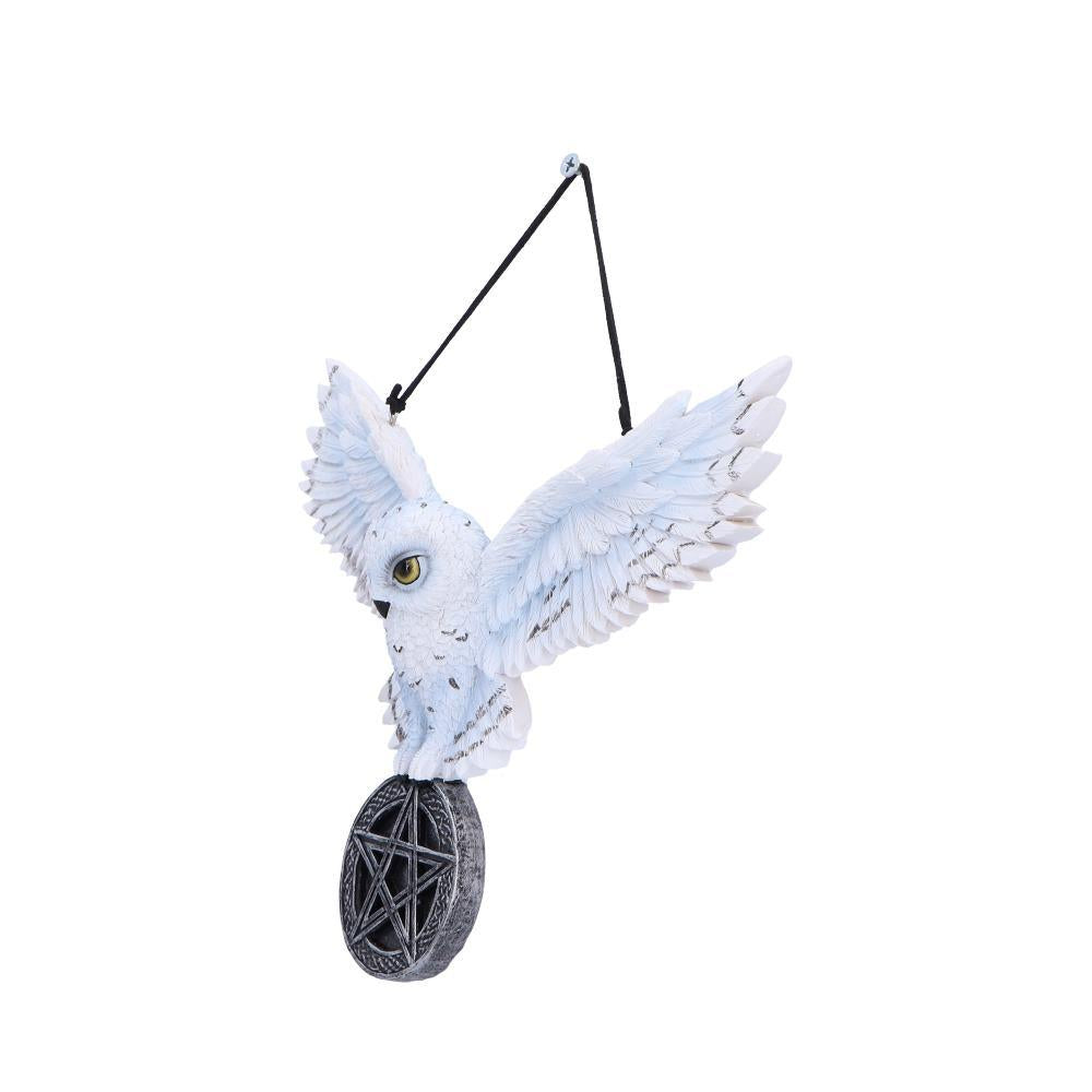 Mystical Snowy Owl Hanging Pagan Pentacle Talisman Wiccan Witchcraft Wall Art
