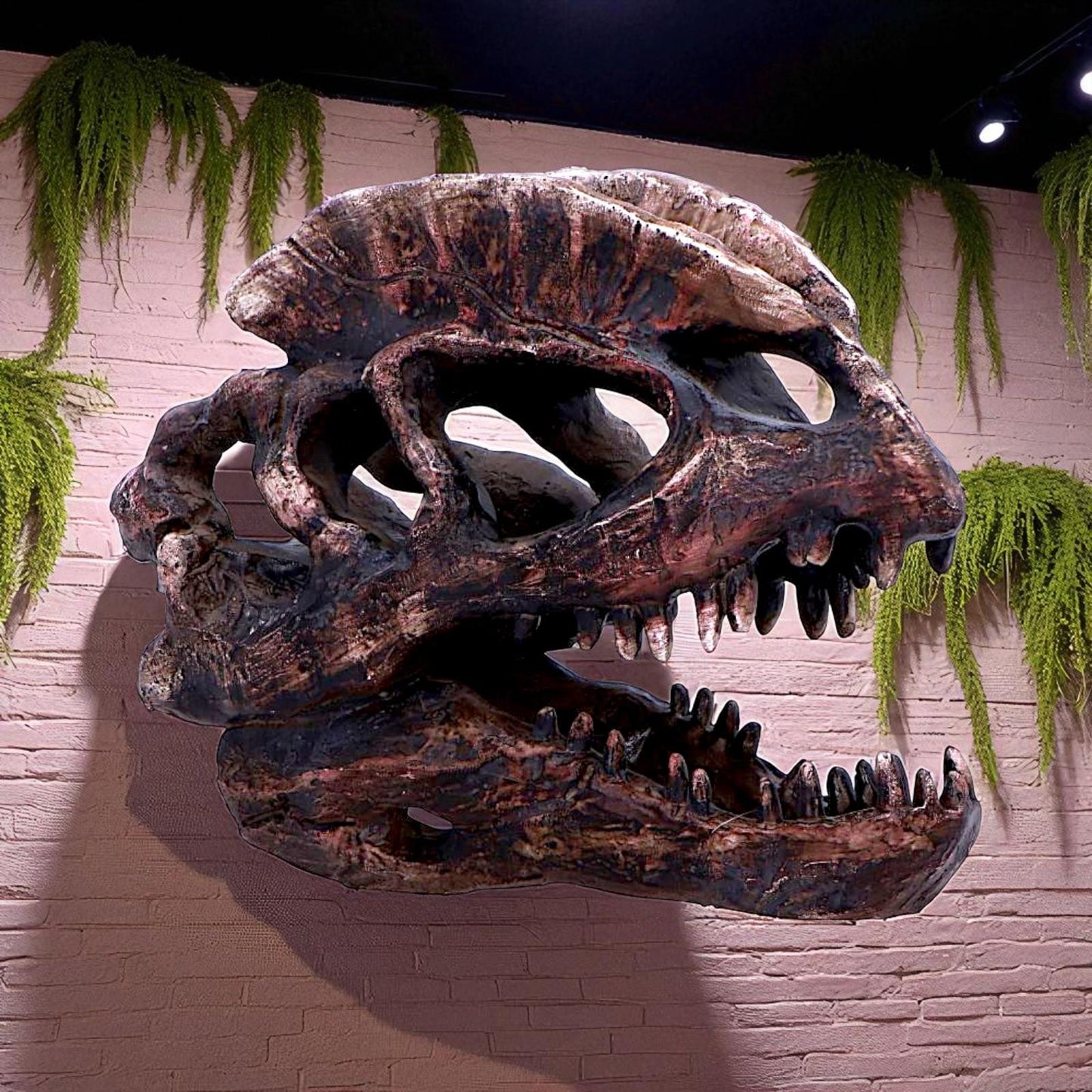 Dilophosaurus Dinosaur Skull Replica Realistic Resin Fossil Model Jurassic Fossil