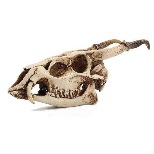 Resin Goat Skull Ornament Three-dimensional Simulation Animal Ornament