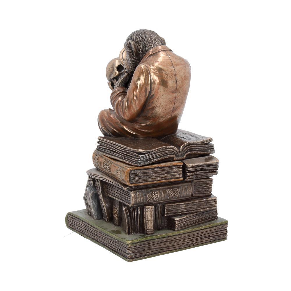 Evolution Theory Chimp Ornament Darwin Scholar Statue Bronze Scientific Display