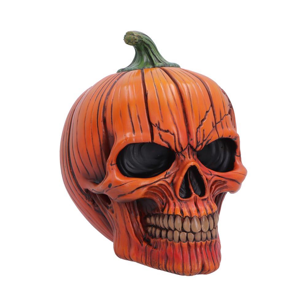 Pumpkin Head Skull Creepy Gothic Halloween Figurine Macabre Horror Decoration