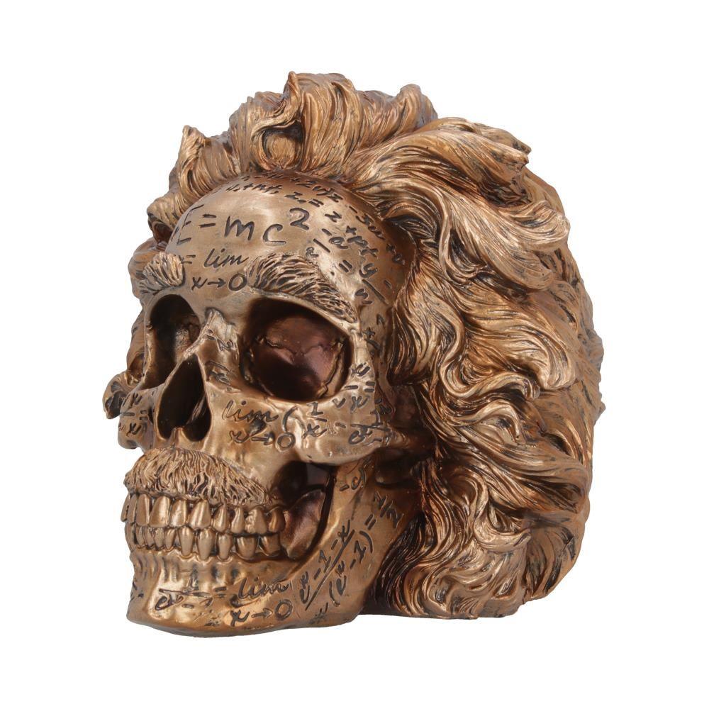 Einstein Skull Sculpture - Theory of Relativity Inspired Figurine, Mathematical Home  Decor