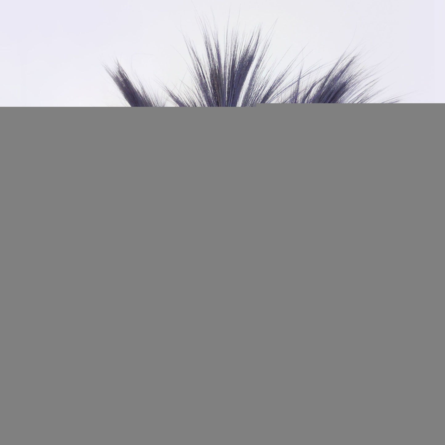 Rayung Grass Lavender- 1.6m