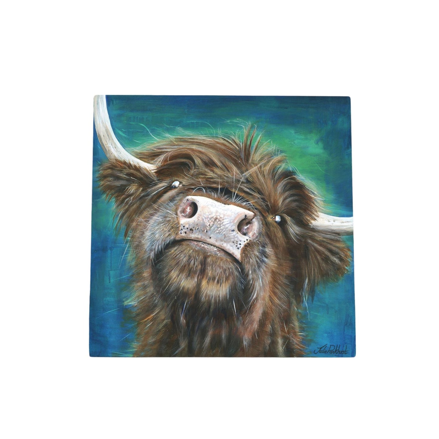 Flora Highland Cow Ceramic Art Tile by Pankhurst Gallery 20x20 cm Ready to Hang