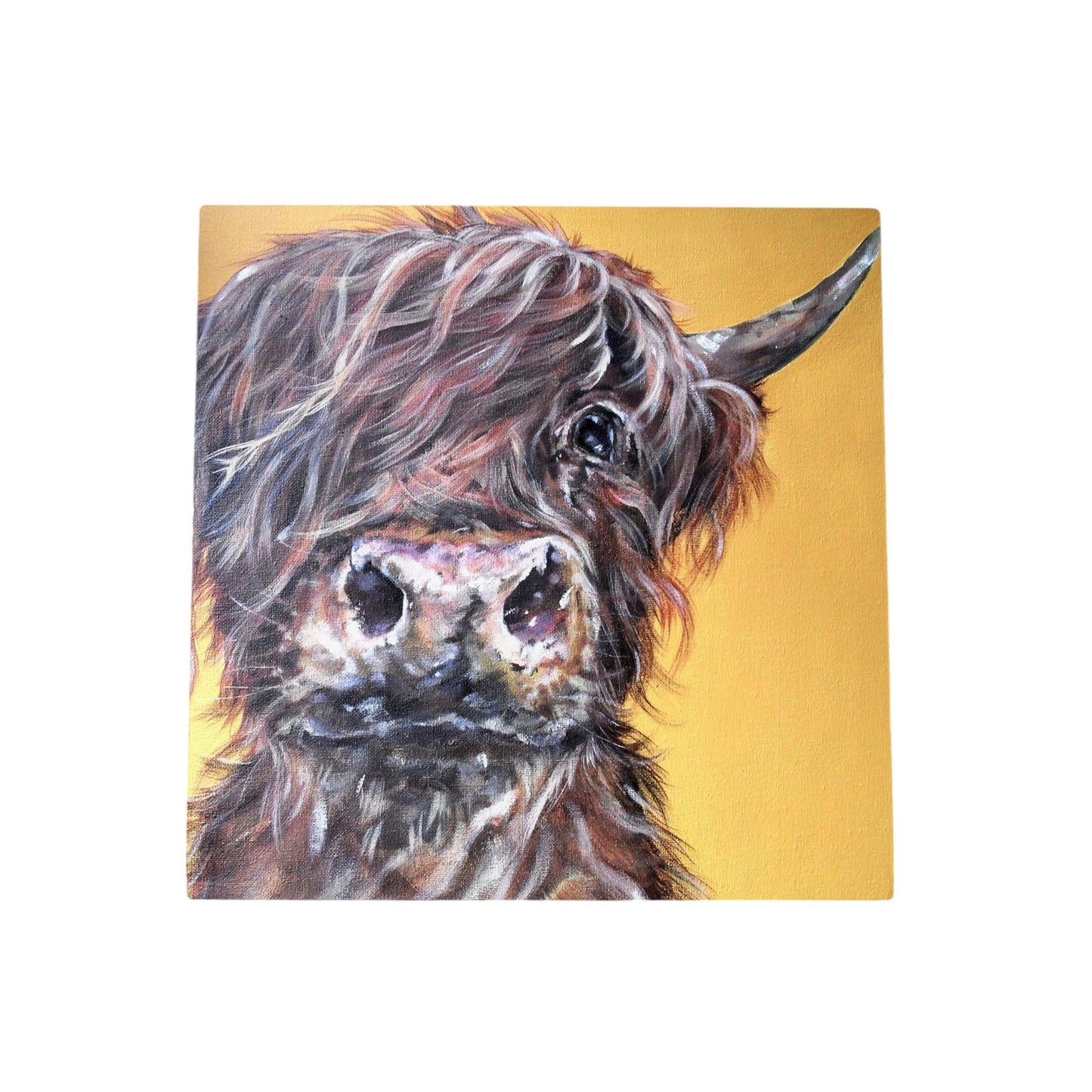 MINI MCMOO Highland Cow Ceramic Art Tile by Sam Fenner 20X20 cm | Wall Decor