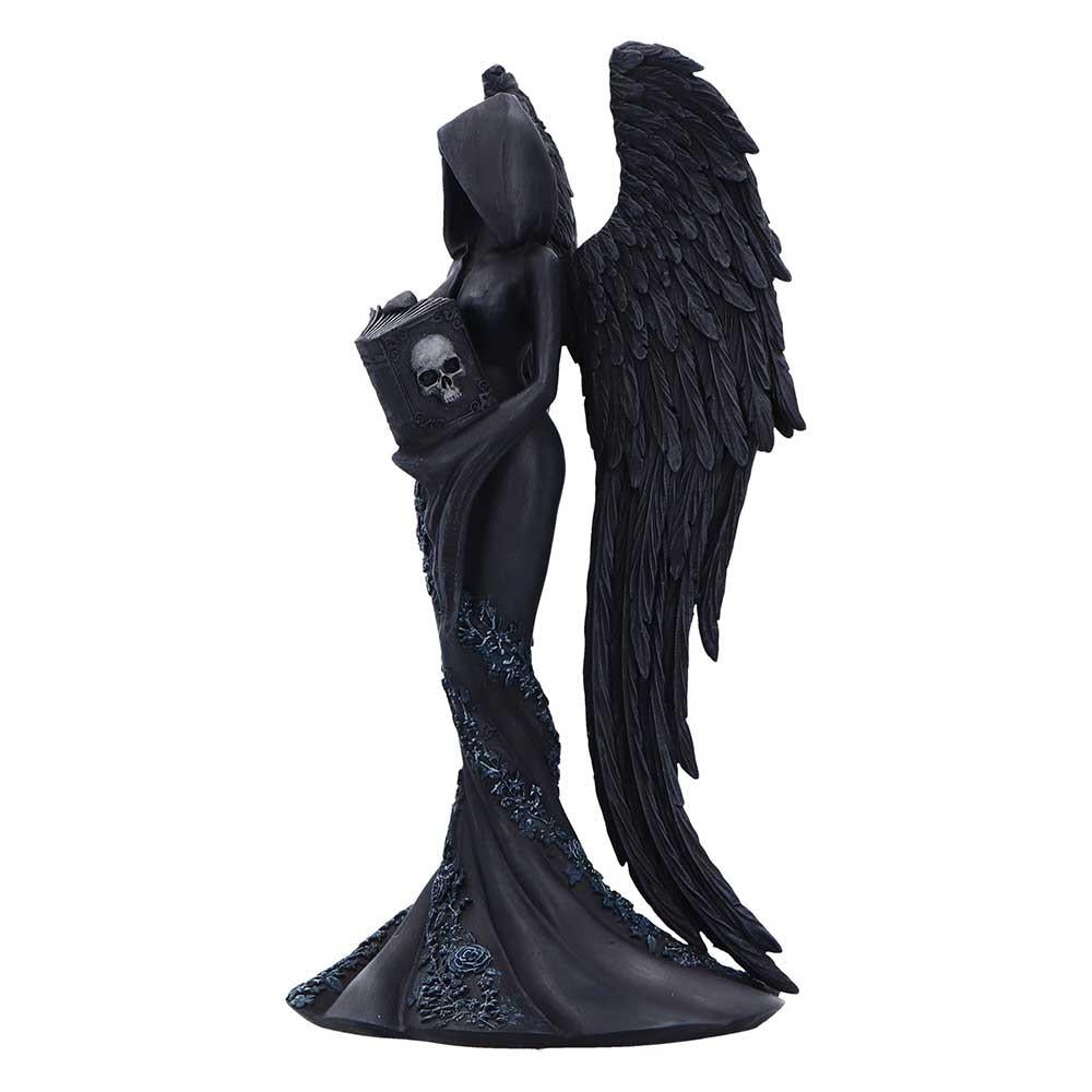 Femme Fatale Scholar Angel Statue Gothic Hooded Winged Book Skull Fantasy