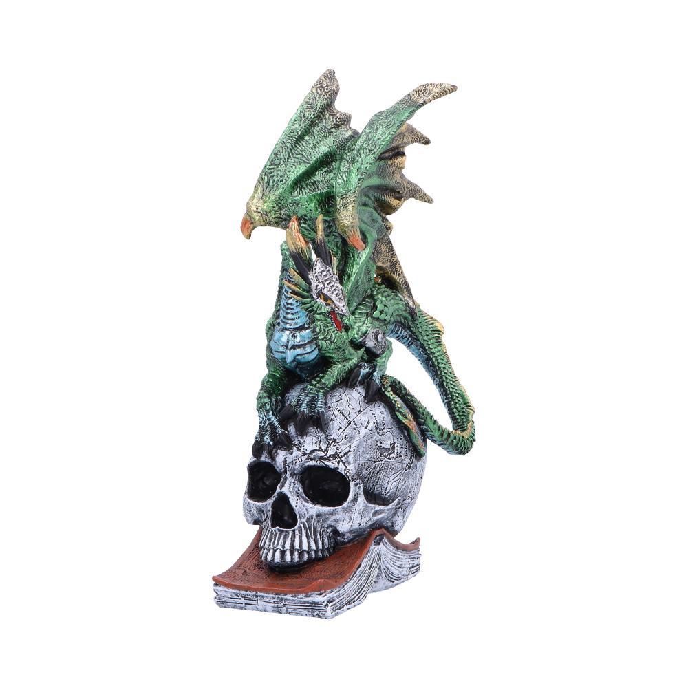 Gothic Dragon on Skull & Spell book Figurine Mythical Fantasy Ornament Art Decor