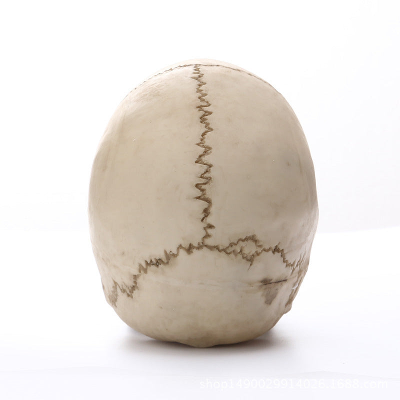 11 Skull Resin Skull Skull Skull Crafts Personality Decoration