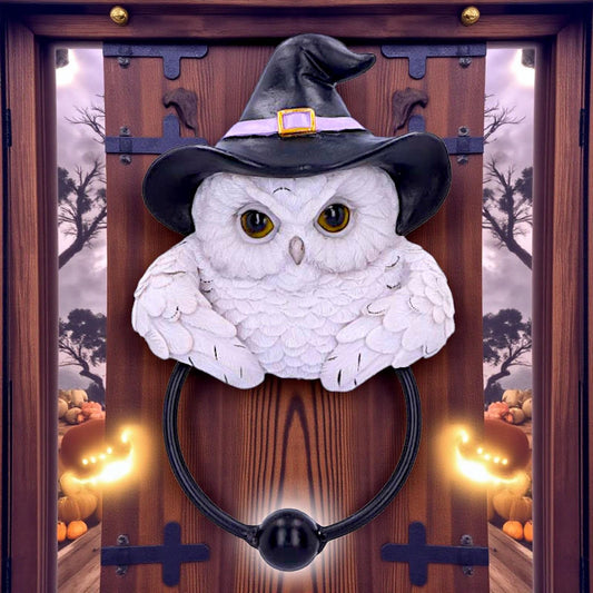 Enchanted Snowy Owl Door Knocker Witchcraft Pagan  Mystical Home Ornament